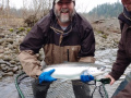 Eric Foley, Jan 20Th 2020, Sandy River with Brandon Glass. 8 lb Steelhead