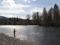 Steelhead fishing North Santiam River