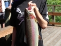 Boy Rainbow Trout