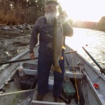 Bob Lusk Steelhead Hen 2015